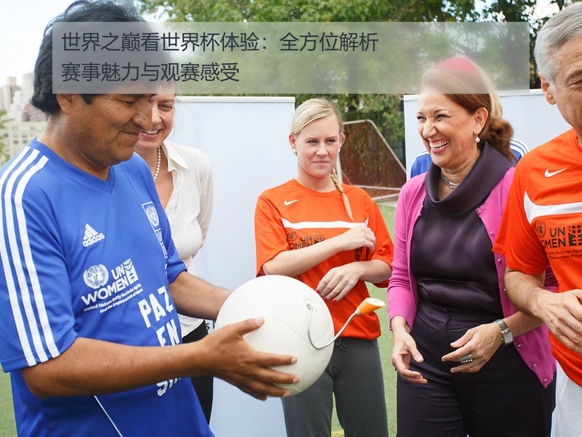 世界之巅看世界杯体验：全方位解析赛事魅力与观赛感受